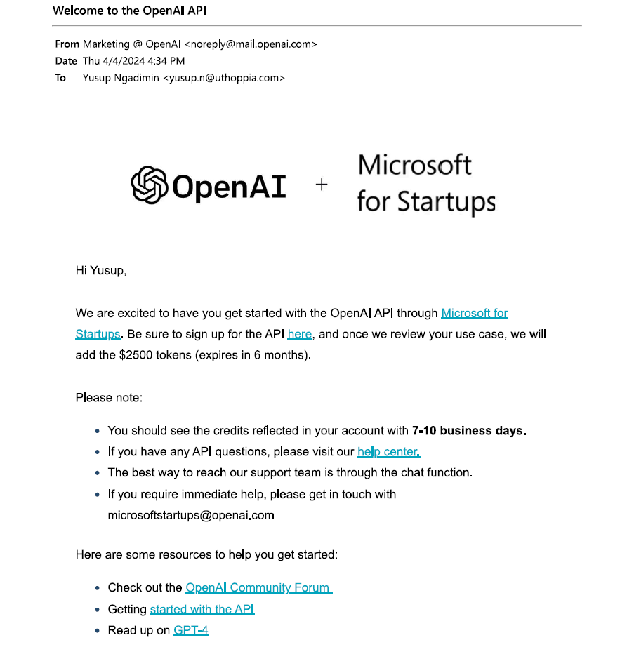 Open AI Grant